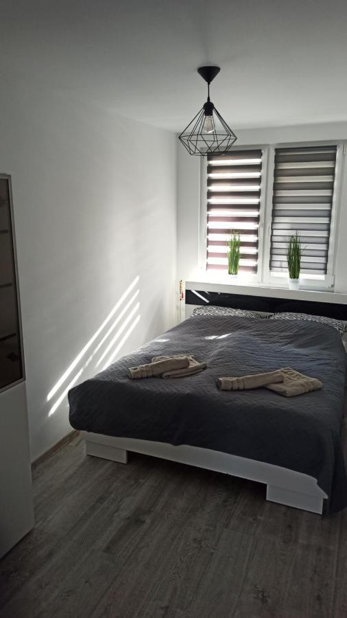 Apartament Zdrojowy グウホワジ エクステリア 写真